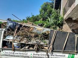  Durango, CO Junk Removal Services Pros