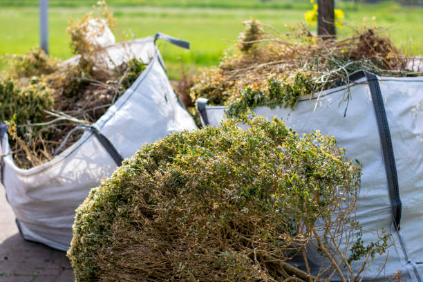 Best Hoarding Cleanup  in Durango, CO